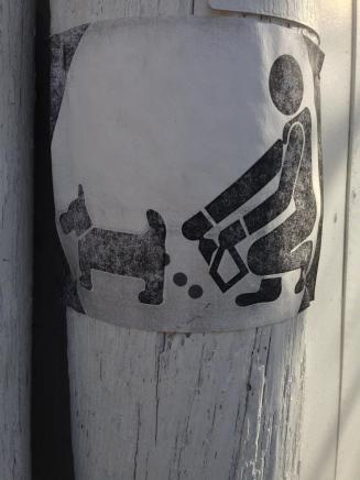 clean up after your dog