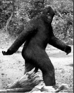 big foot bw