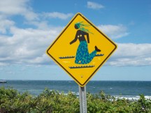 Mermaid crossing