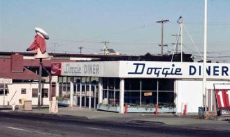 doggie dinner in situ