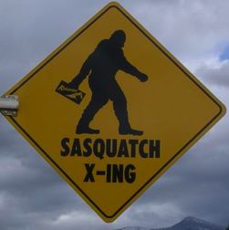 Sasquatch