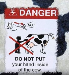 Do not put your hand in cow