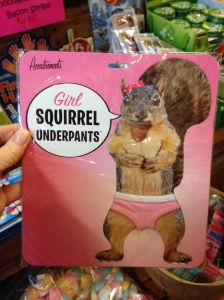 squirrel underpant 1